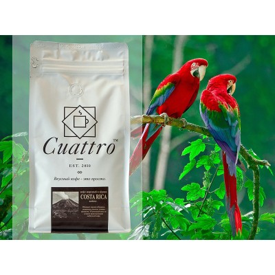 Кофе CUATTRO Costa Rica (упаковка 500 г)