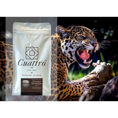 Кофе CUATTRO Nicaragua Maragogype (упаковка 500 г)