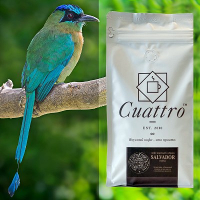 Кофе CUATTRO Salvador (упаковка 500 г)